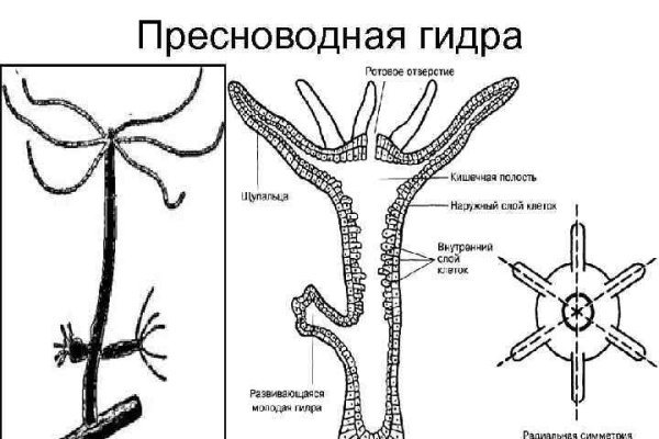 Новая ссылка на кракен